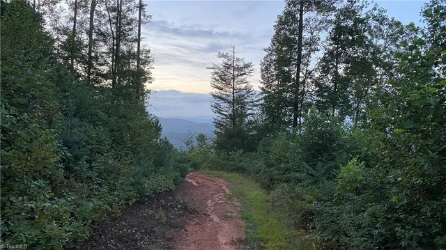 $7,850,000 | Tbd Eagle Heights Circle, Lenoir, NC 28645