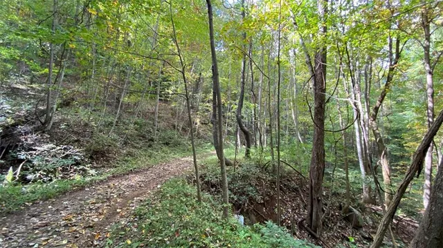 $7,850,000 | Tbd Eagle Heights Circle, Lenoir, NC 28645