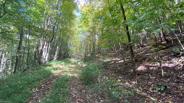 $7,850,000 | Tbd Eagle Heights Circle, Lenoir, NC 28645