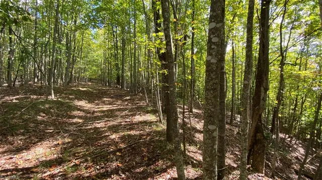 $7,850,000 | Tbd Eagle Heights Circle, Lenoir, NC 28645