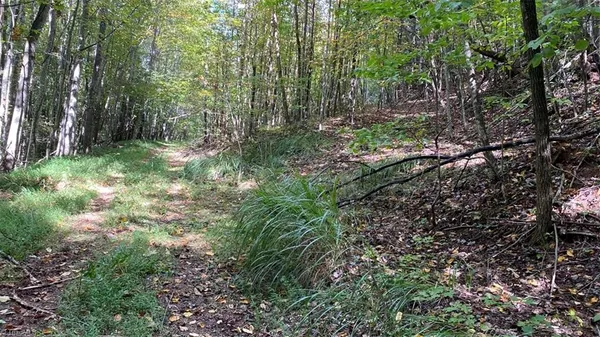 $7,850,000 | Tbd Eagle Heights Circle, Lenoir, NC 28645