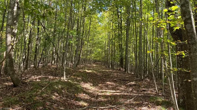 $7,850,000 | Tbd Eagle Heights Circle, Lenoir, NC 28645