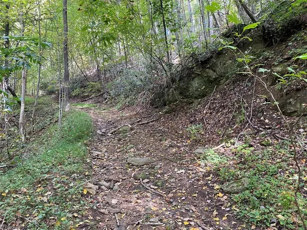 $7,850,000 | Tbd Eagle Heights Circle, Lenoir, NC 28645