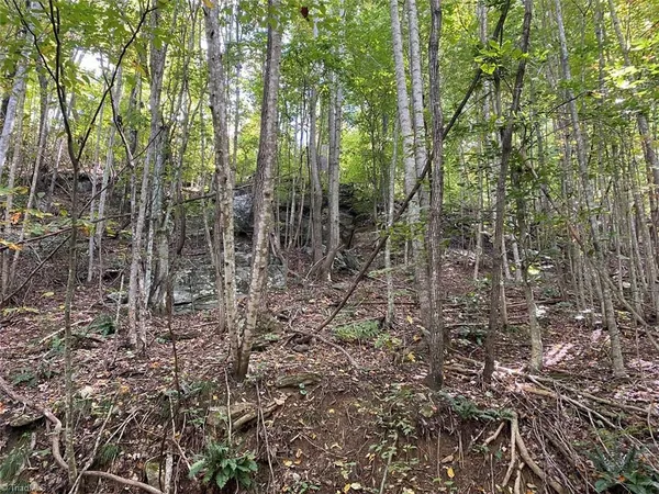 $7,850,000 | Tbd Eagle Heights Circle, Lenoir, NC 28645