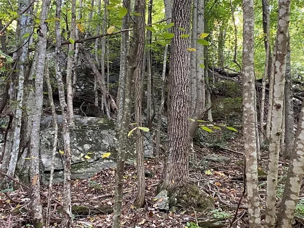 $7,850,000 | Tbd Eagle Heights Circle, Lenoir, NC 28645