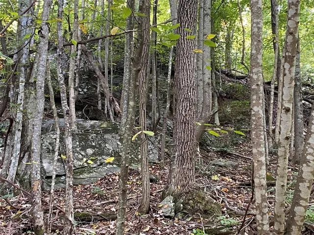 $7,850,000 | Tbd Eagle Heights Circle, Lenoir, NC 28645