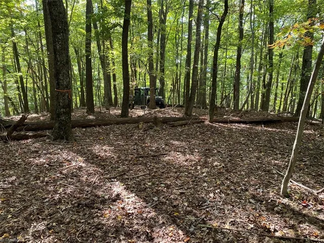 $7,850,000 | Tbd Eagle Heights Circle, Lenoir, NC 28645