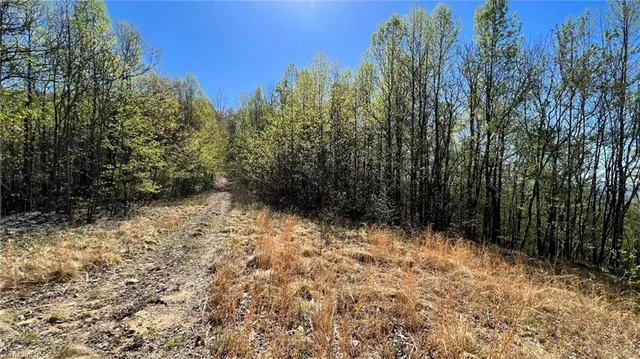 $7,850,000 | Tbd Eagle Heights Circle, Lenoir, NC 28645