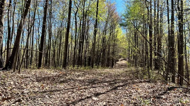 $7,850,000 | Tbd Eagle Heights Circle, Lenoir, NC 28645