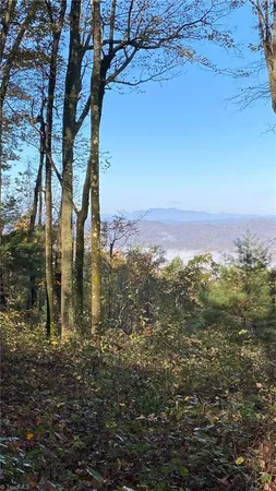 $7,850,000 | Tbd Eagle Heights Circle, Lenoir, NC 28645