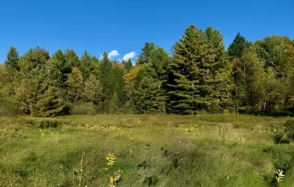 $229,000 | 843 River Road, Troy, VT 05859