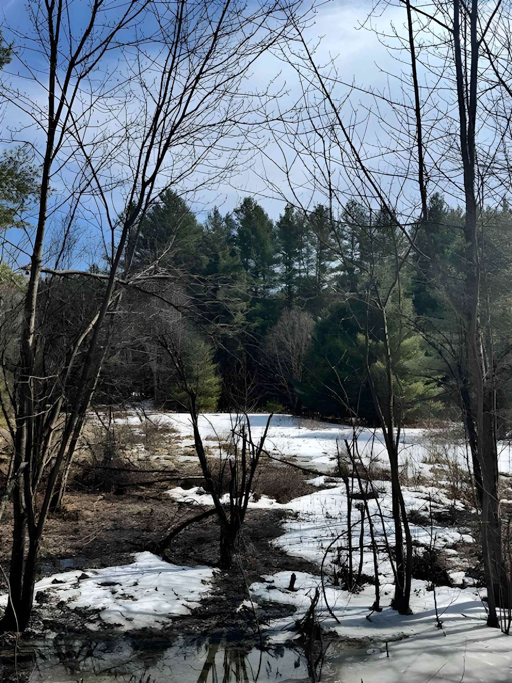 843 River Road Troy, VT 05859 - Photo 11 of 17