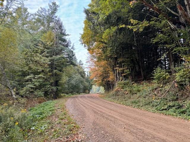 843 River Road Troy, VT 05859 - Photo 16 of 17