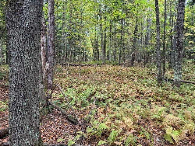 843 River Road Troy, VT 05859 - Photo 5 of 17