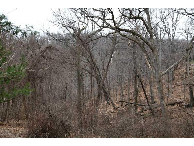 113 Deimling Road Pittsburgh, PA 15229 - Photo 16 of 16 Land/Lot. Deep Privacy