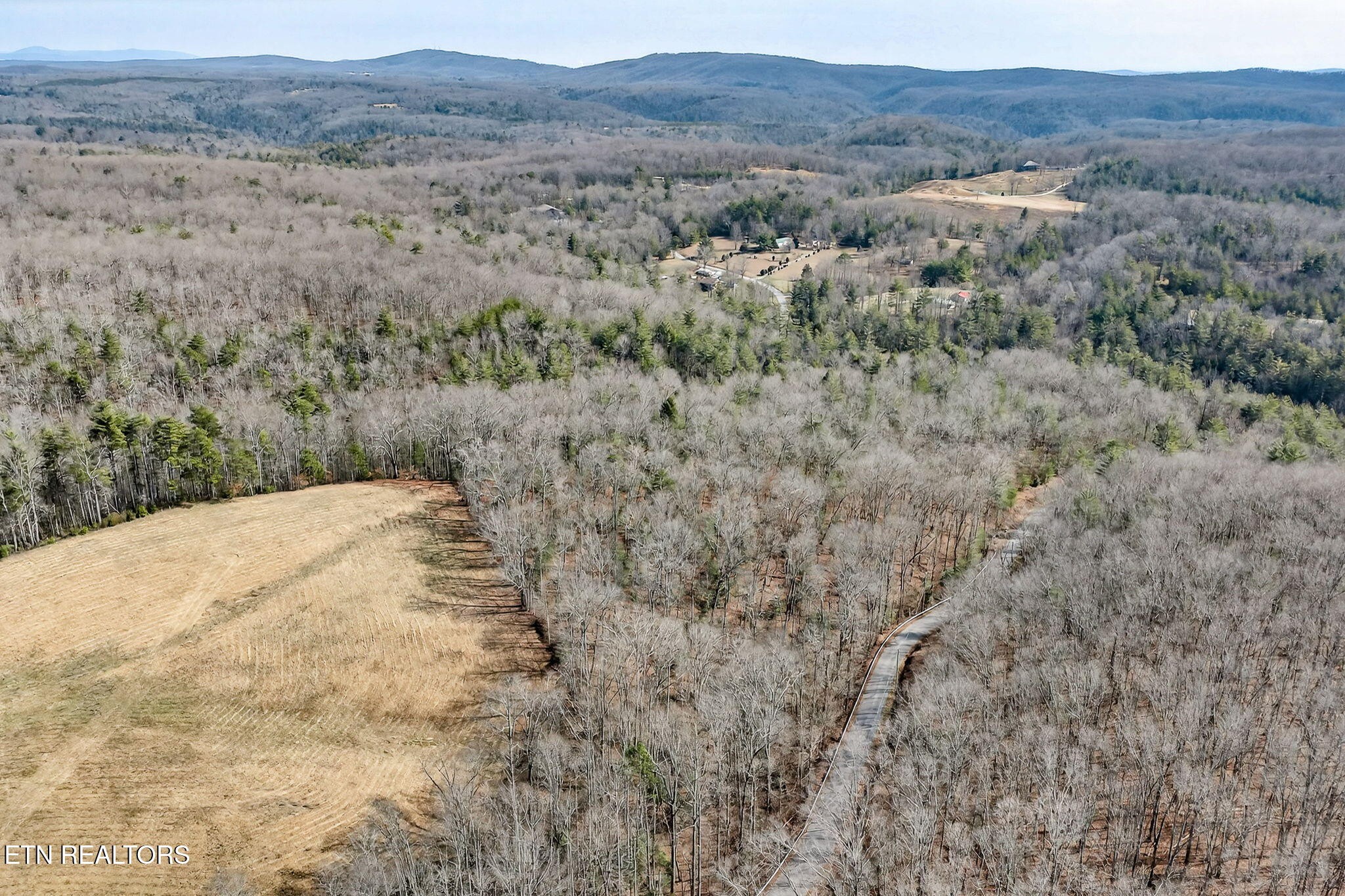 0 Dogwood Road Grandview, TN 37337 - Photo 6 of 16