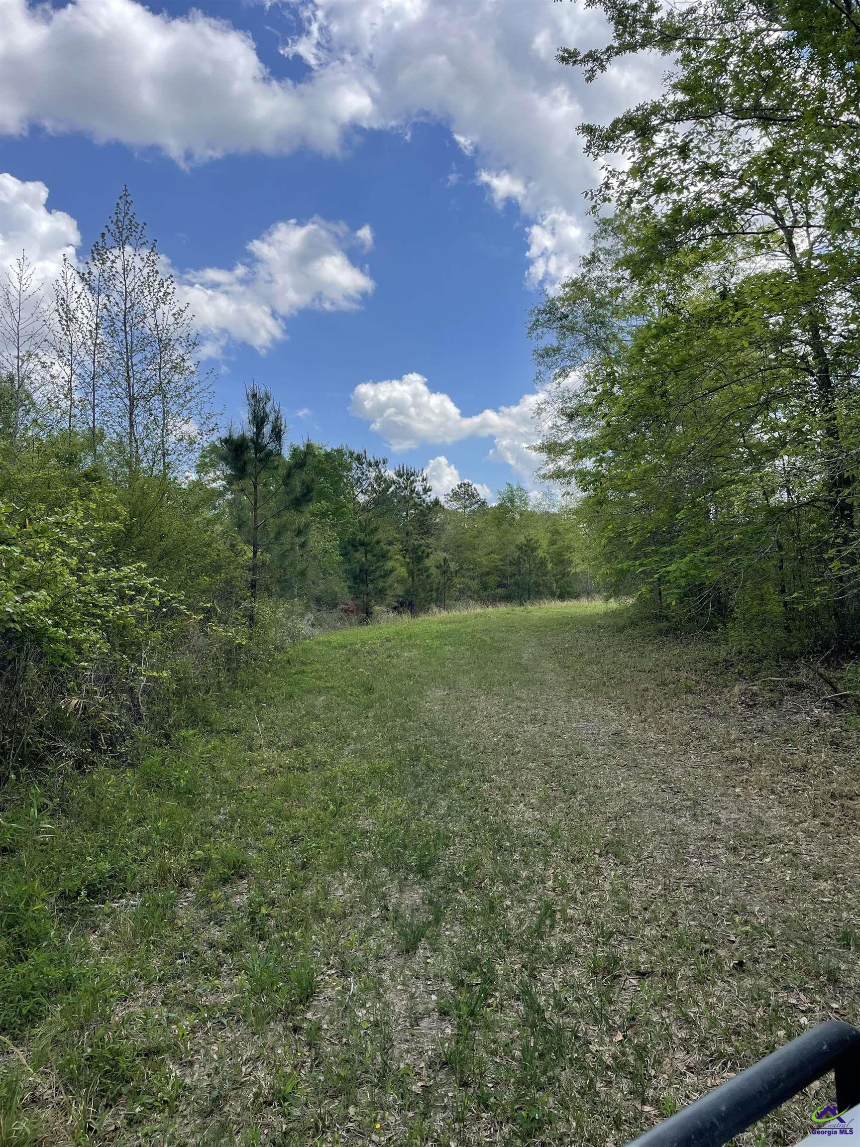 Bethel Church Road Eastman, GA 31023 - Photo 27 of 32