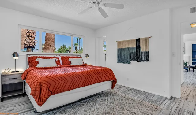 a view of a yard with plants