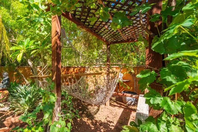a view of a porch with a yard potted plants and large tree