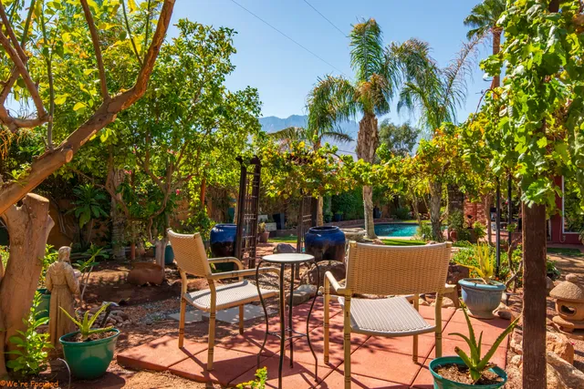 a view of a backyard with plants and palm tree