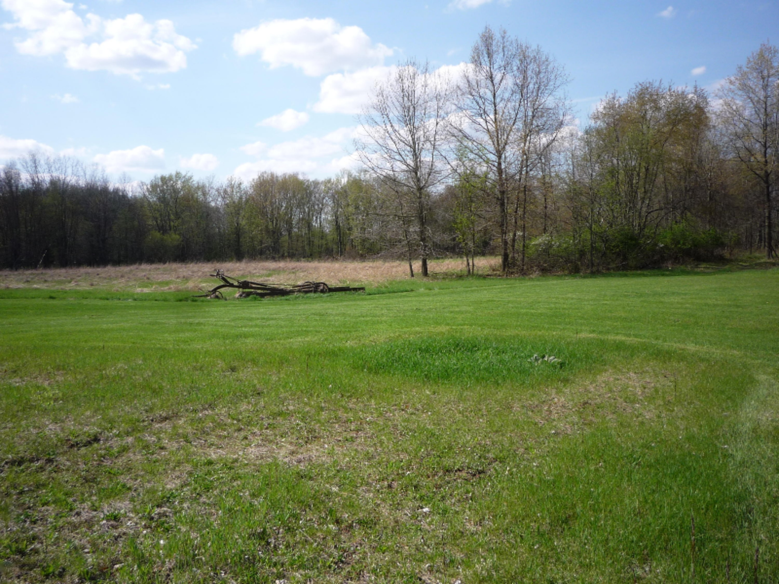 151 South Parham Road Bronson, MI 49028 - Photo 12 of 101 P1050744