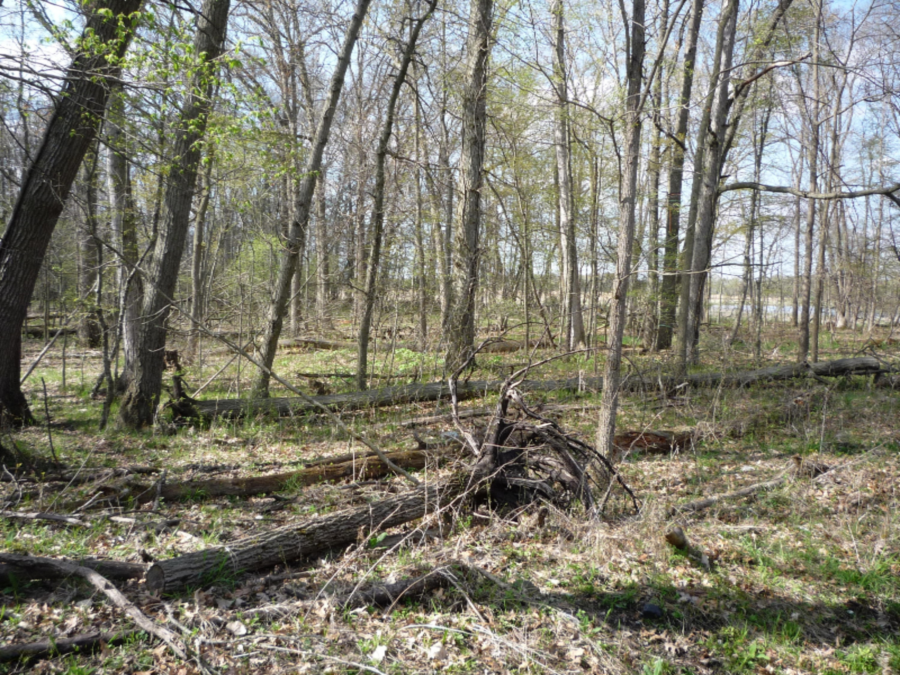 151 South Parham Road Bronson, MI 49028 - Photo 17 of 101 P1050750
