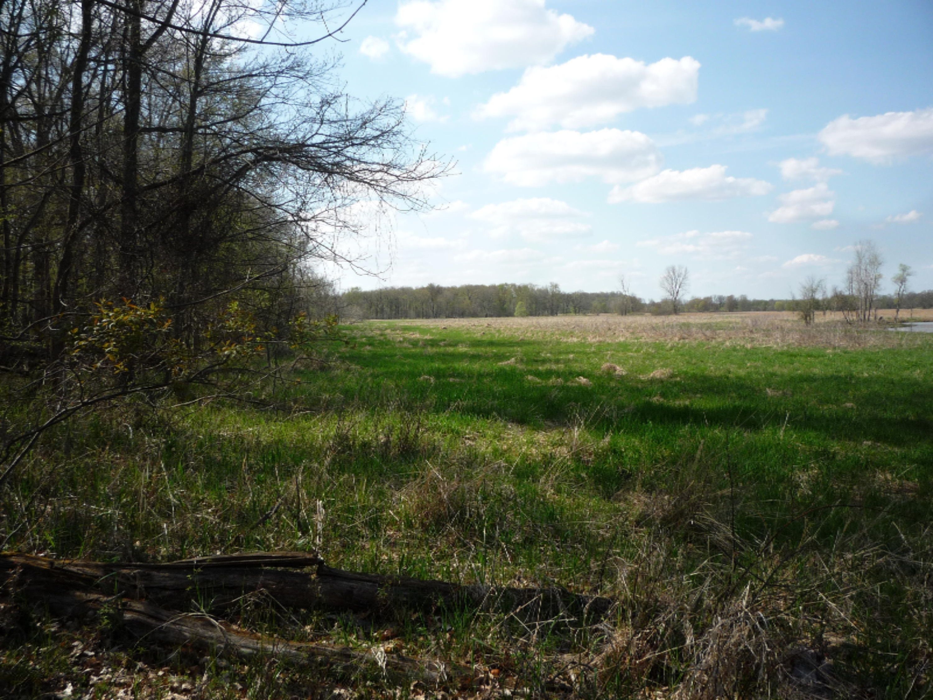 151 South Parham Road Bronson, MI 49028 - Photo 25 of 101 P1050758