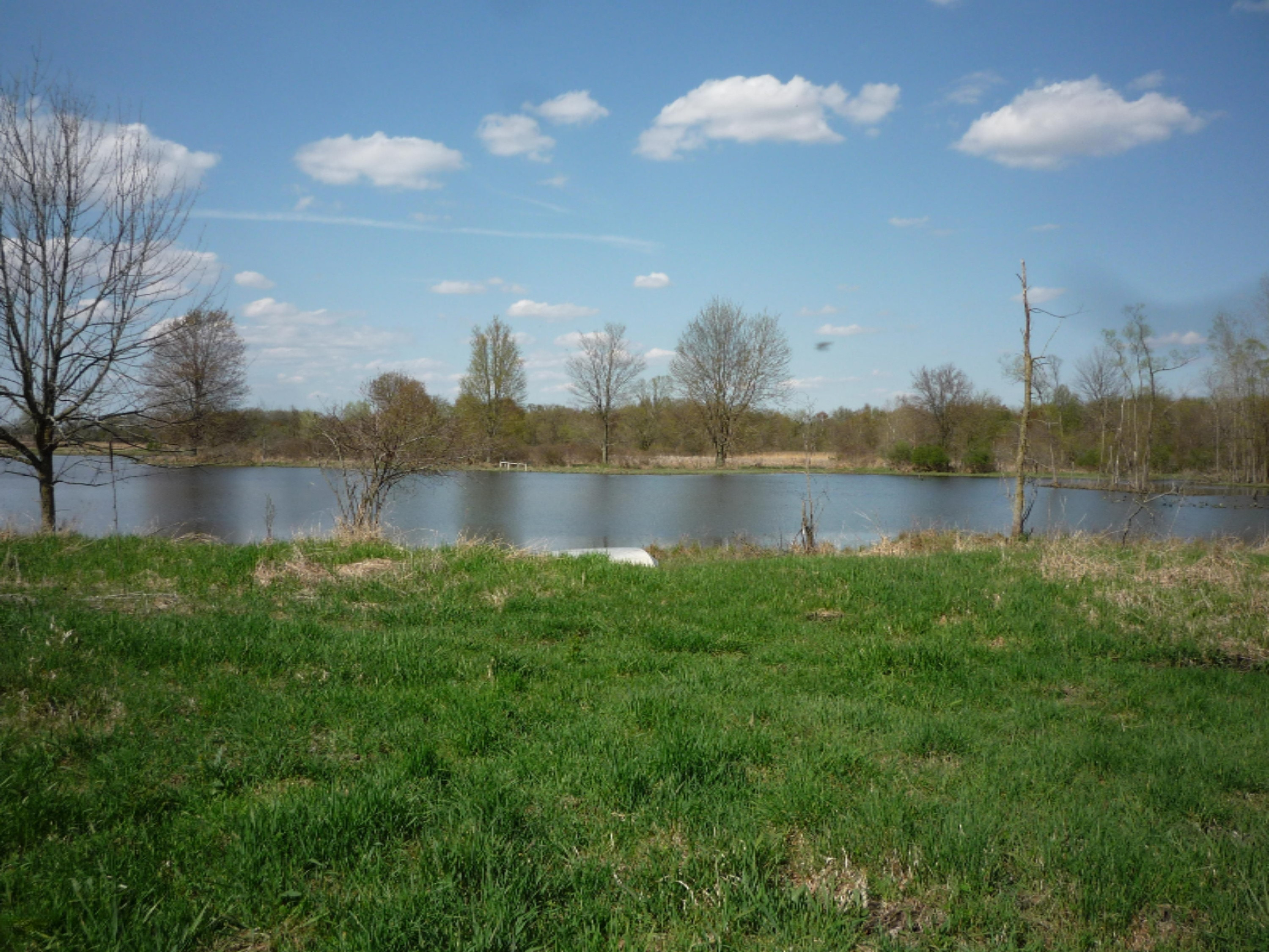 151 South Parham Road Bronson, MI 49028 - Photo 26 of 101 P1050759
