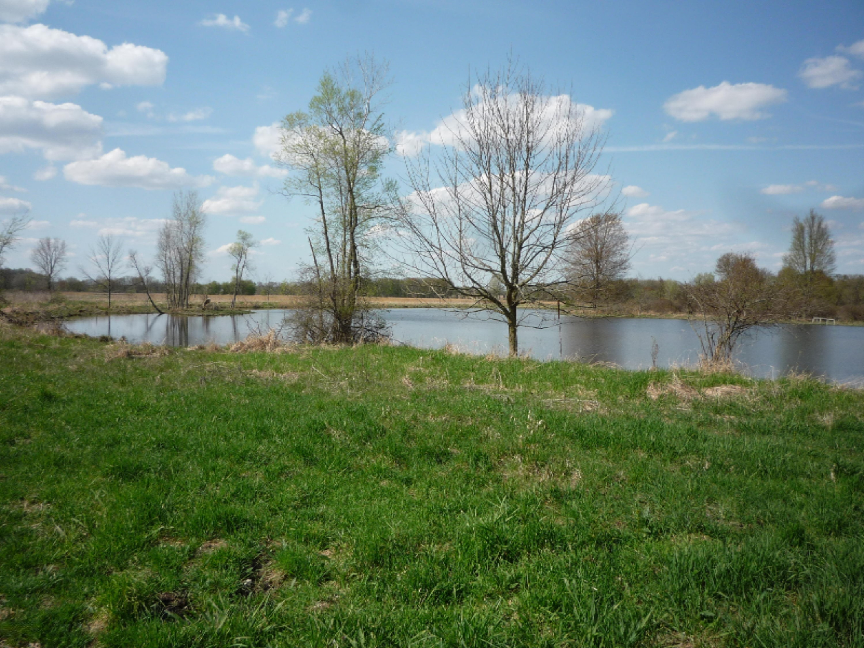 151 South Parham Road Bronson, MI 49028 - Photo 27 of 101 P1050760