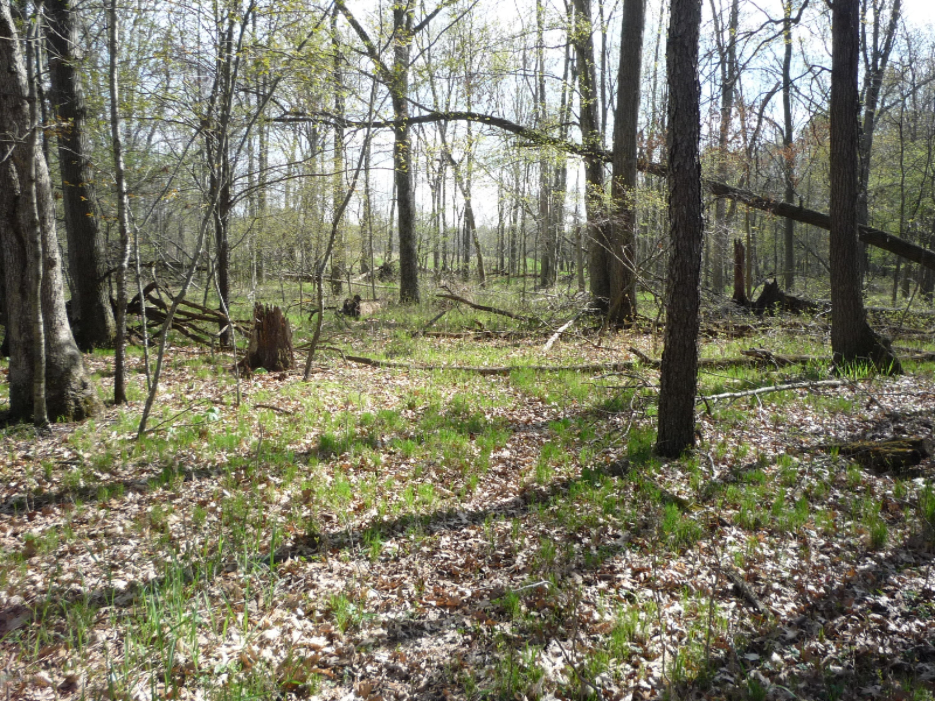 151 South Parham Road Bronson, MI 49028 - Photo 34 of 101 P1050764