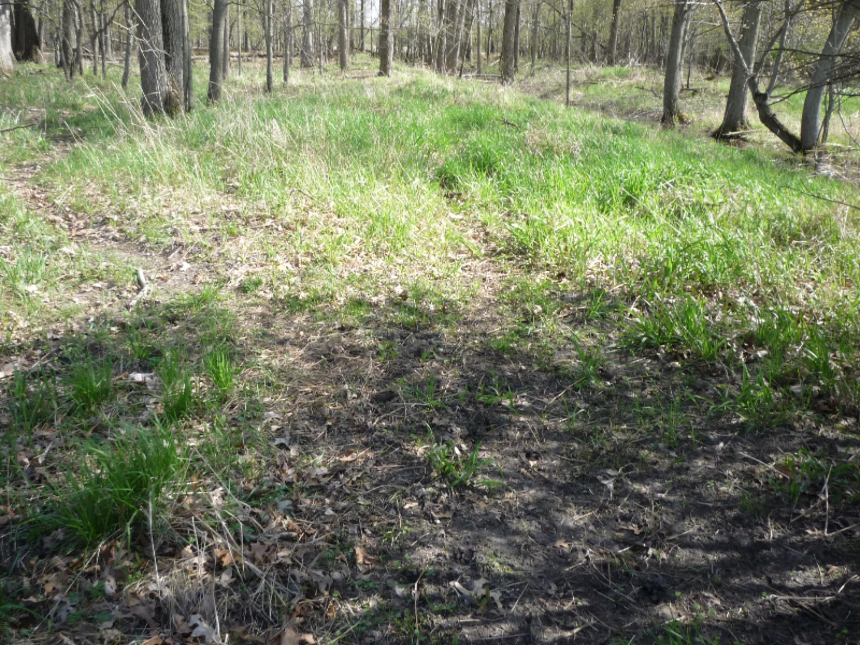 151 South Parham Road Bronson, MI 49028 - Photo 35 of 101 P1050765