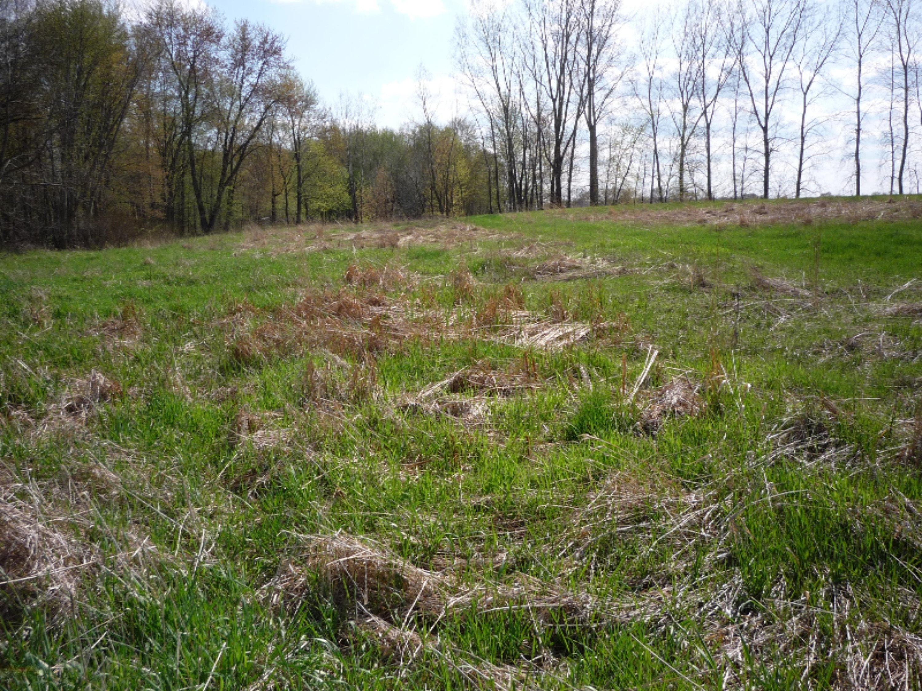 151 South Parham Road Bronson, MI 49028 - Photo 39 of 101 P1050769
