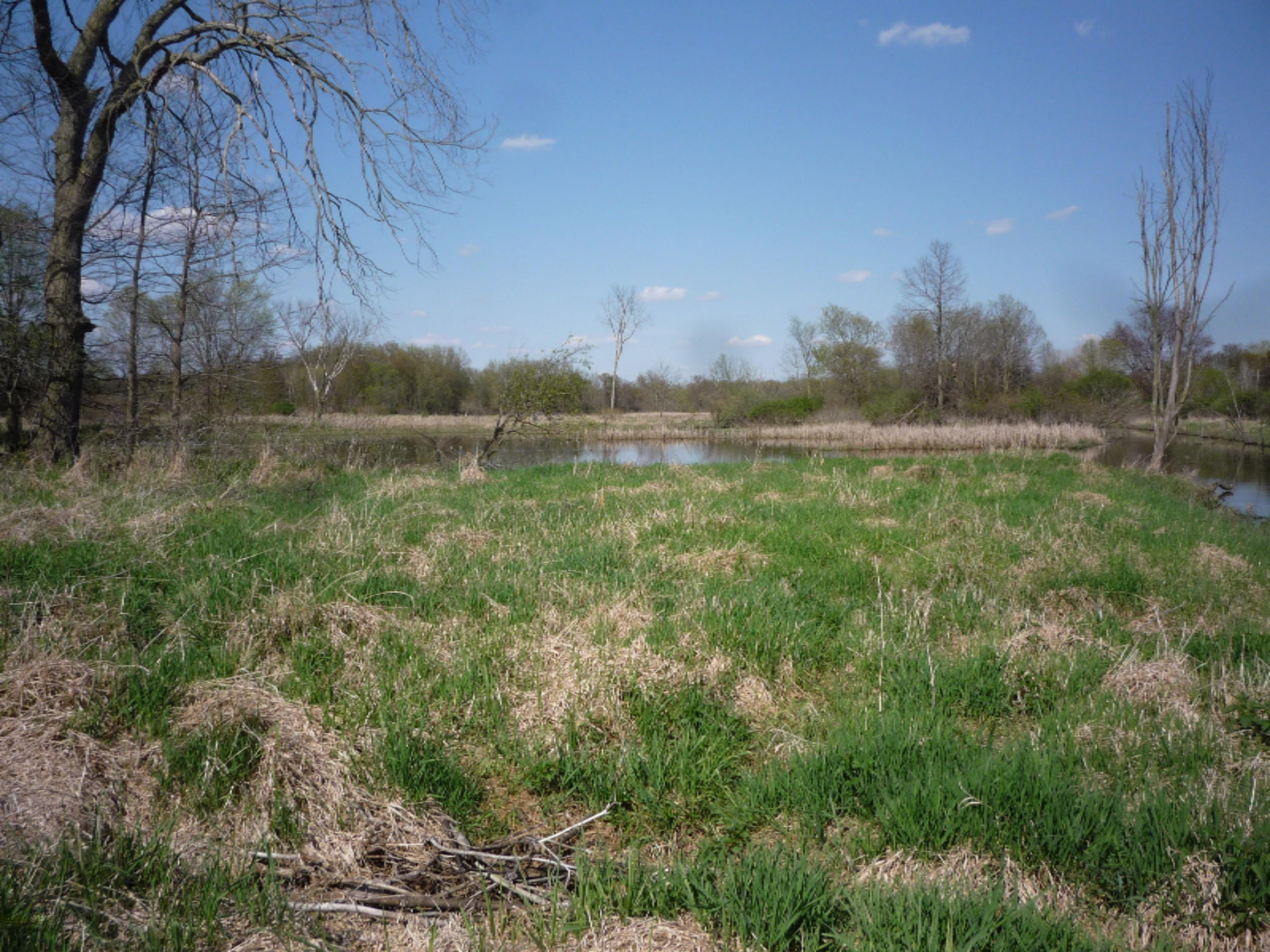 151 South Parham Road Bronson, MI 49028 - Photo 4 of 101 P1050732