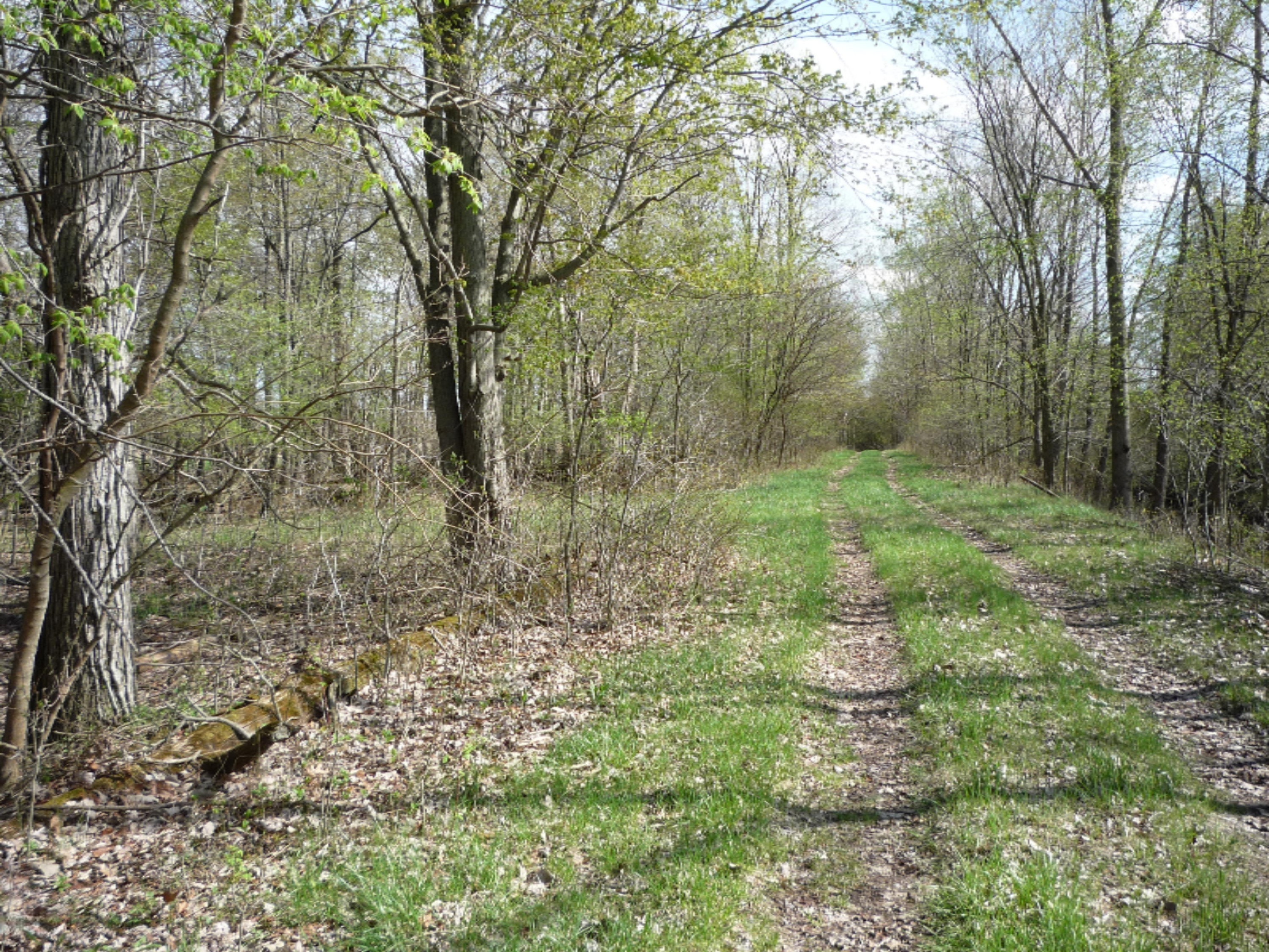 151 South Parham Road Bronson, MI 49028 - Photo 52 of 101 P1050782