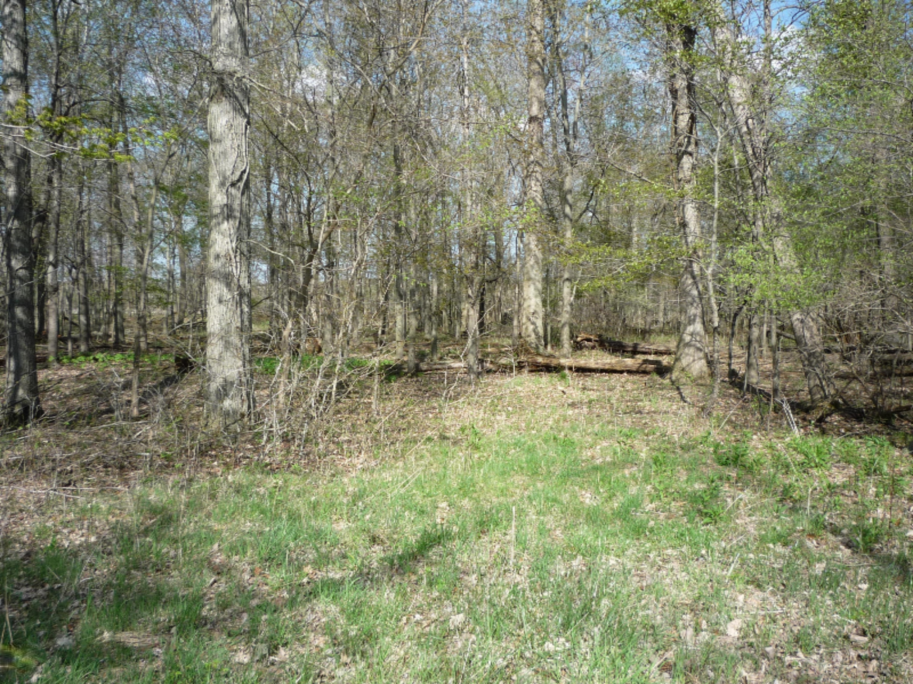 151 South Parham Road Bronson, MI 49028 - Photo 54 of 101 P1050784