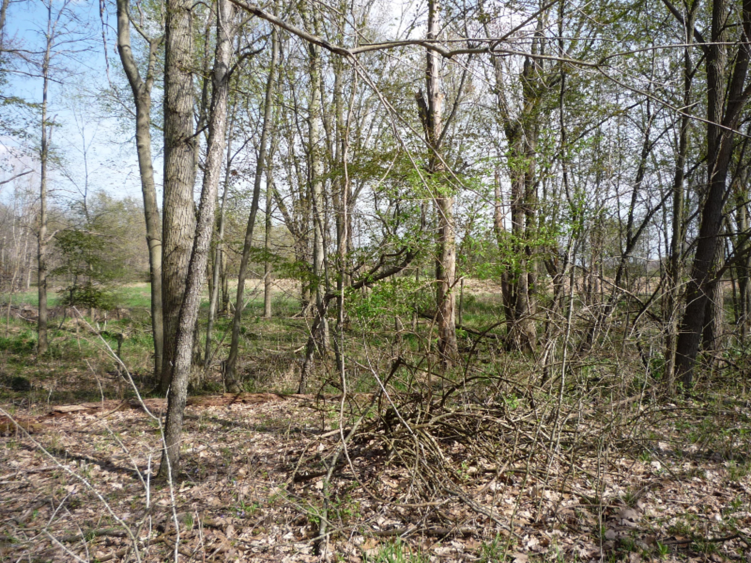 151 South Parham Road Bronson, MI 49028 - Photo 56 of 101 P1050786