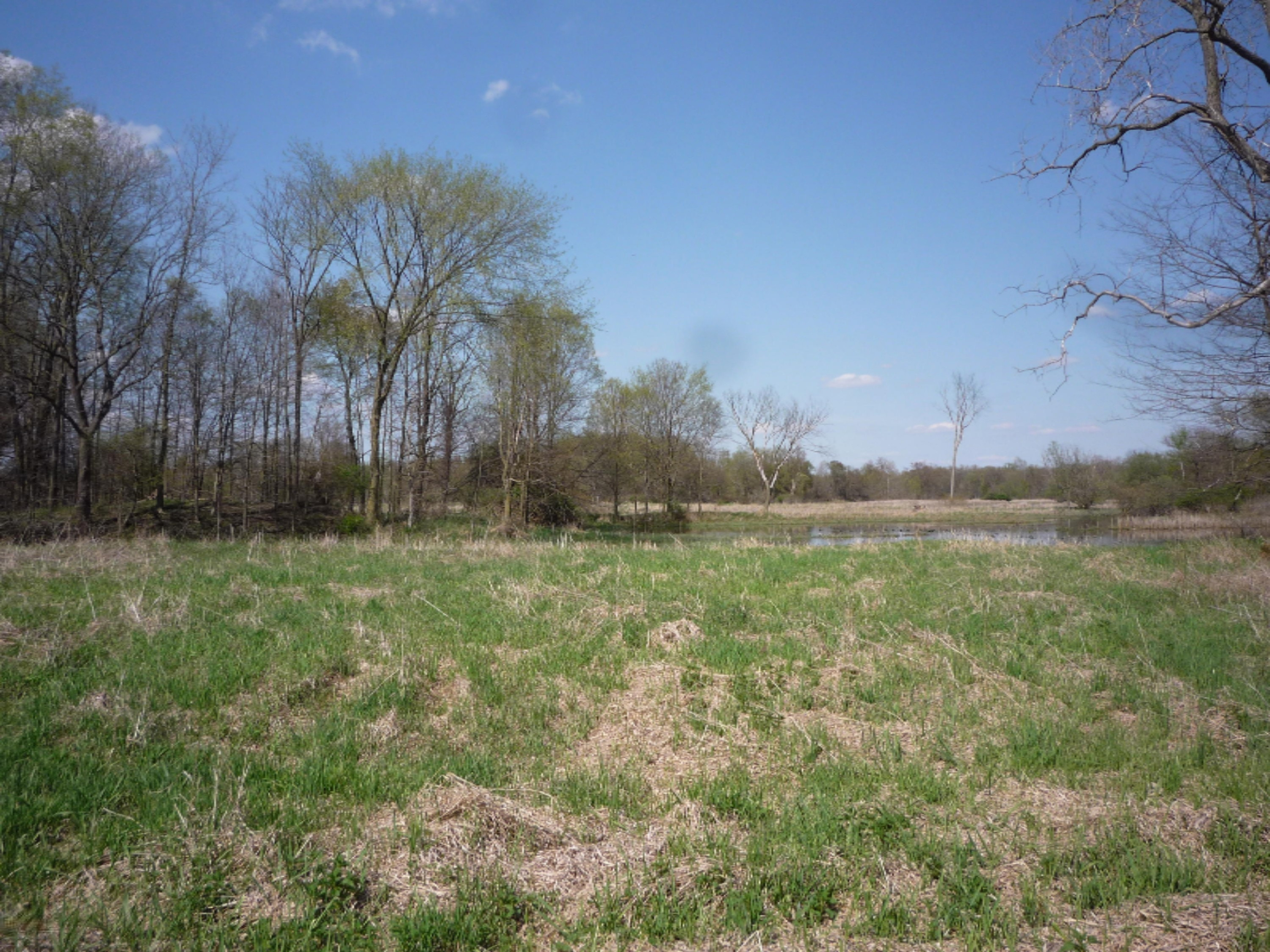 151 South Parham Road Bronson, MI 49028 - Photo 7 of 101 P1050735