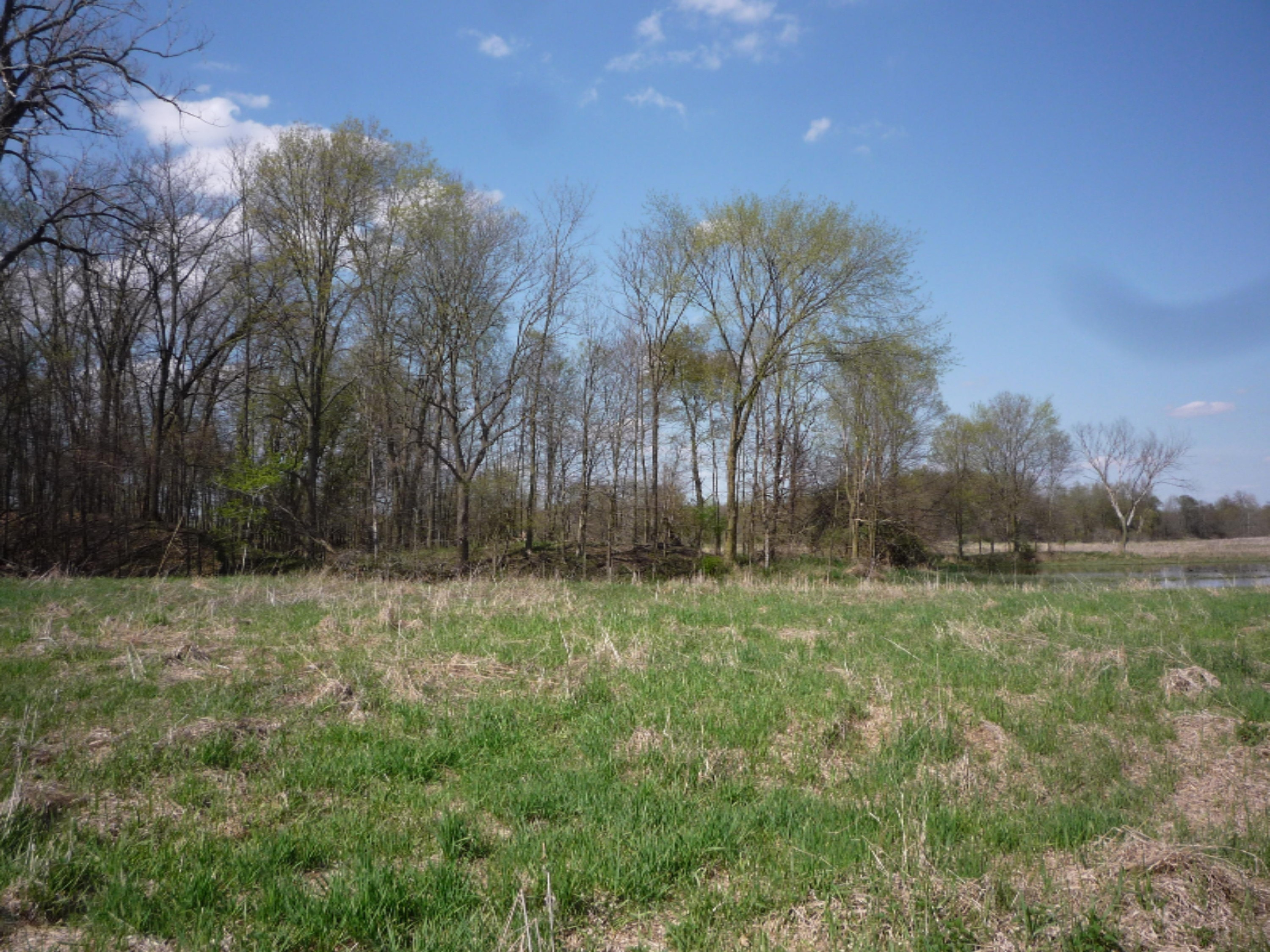 151 South Parham Road Bronson, MI 49028 - Photo 8 of 101 P1050736