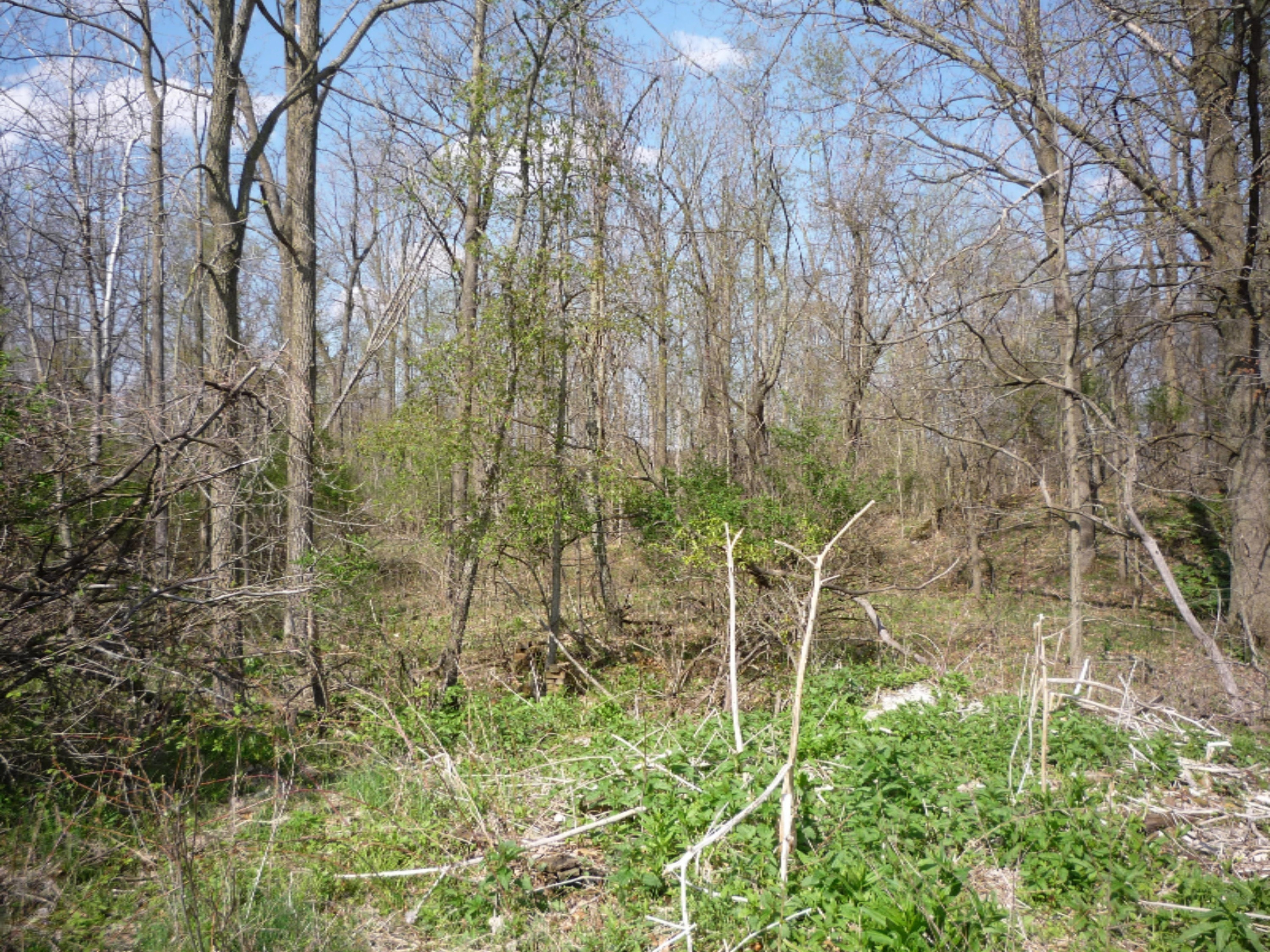 151 South Parham Road Bronson, MI 49028 - Photo 9 of 101 P1050740