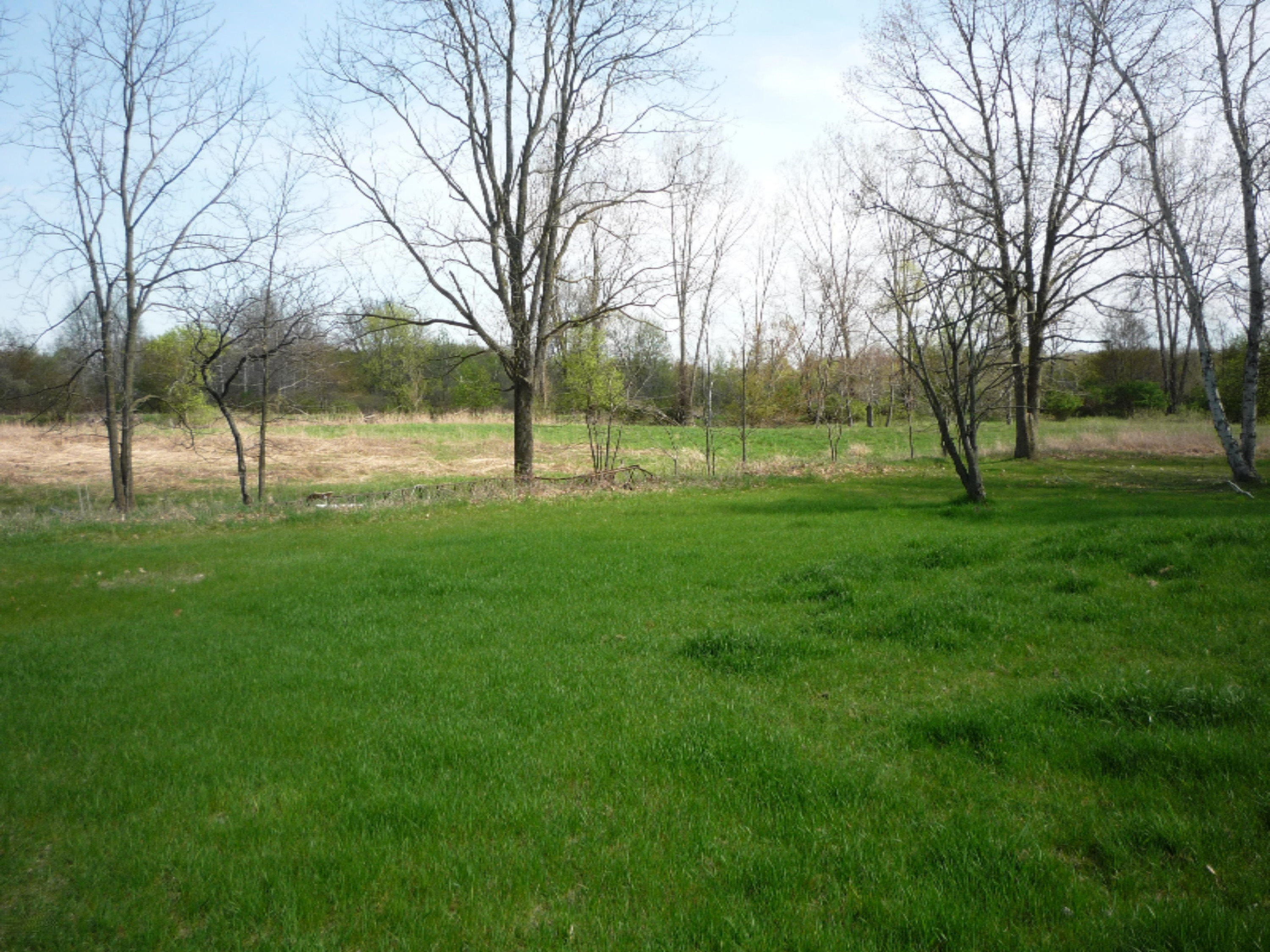 151 South Parham Road Bronson, MI 49028 - Photo 95 of 101 P1050723