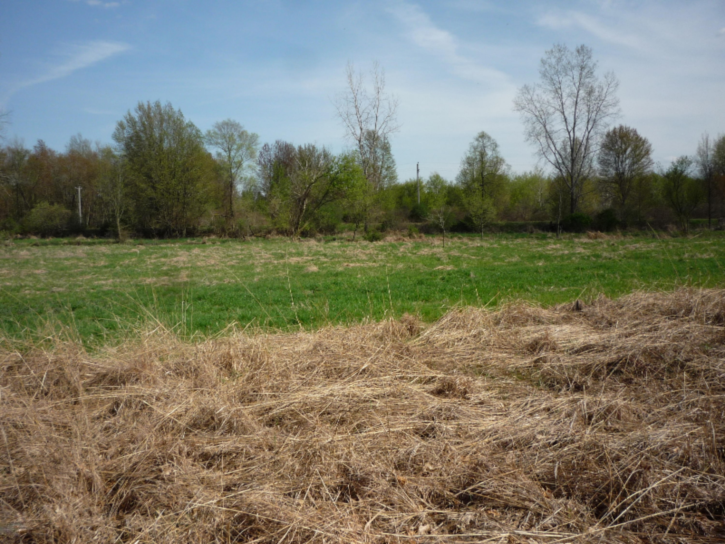 151 South Parham Road Bronson, MI 49028 - Photo 100 of 101 P1050728