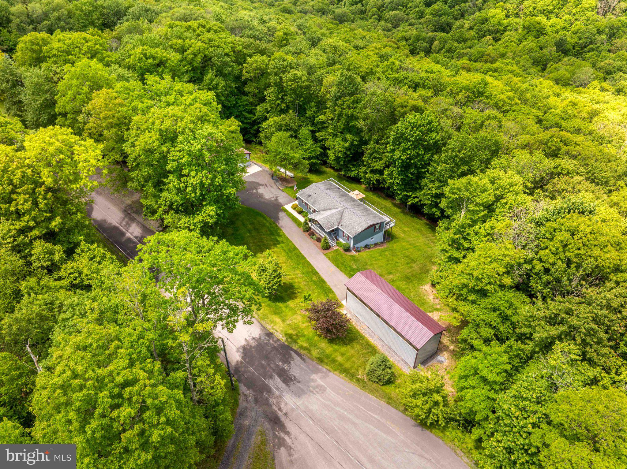 511 Hill Top Road Oakland, MD 21550 - Photo 9 of 51 Serene retreat amidst lush greenery.