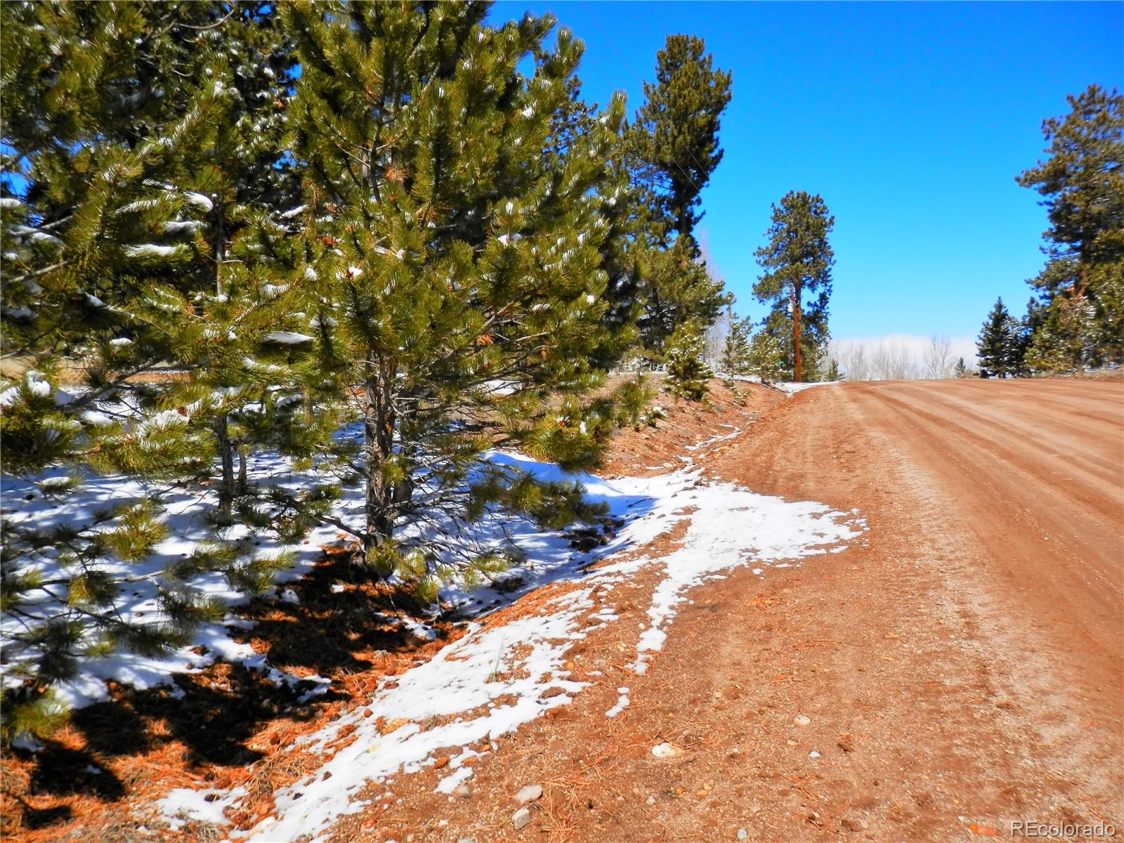 10464 Ranch Road Hartsel, CO 80449 - Photo 12 of 39