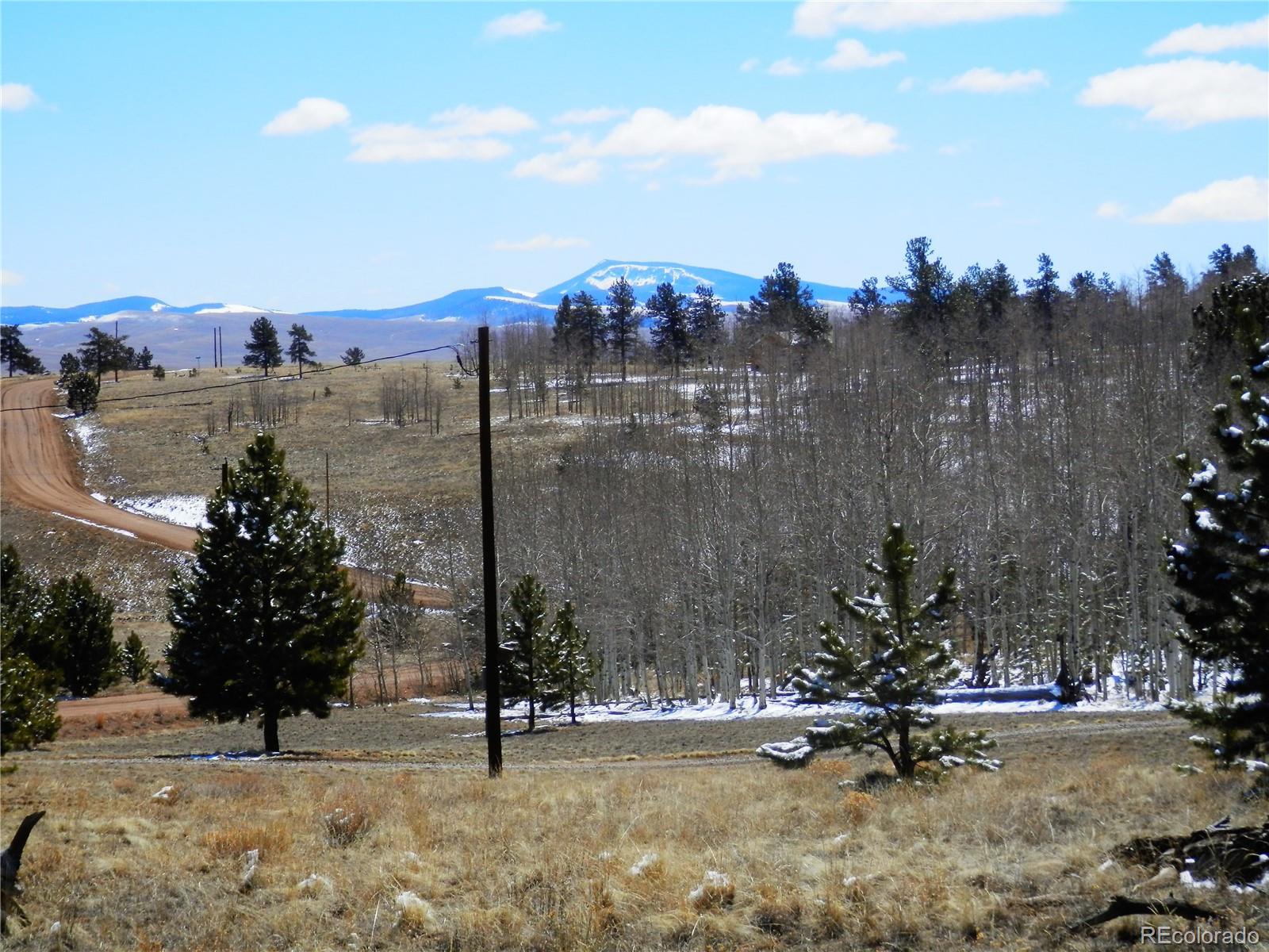 10464 Ranch Road Hartsel, CO 80449 - Photo 21 of 39