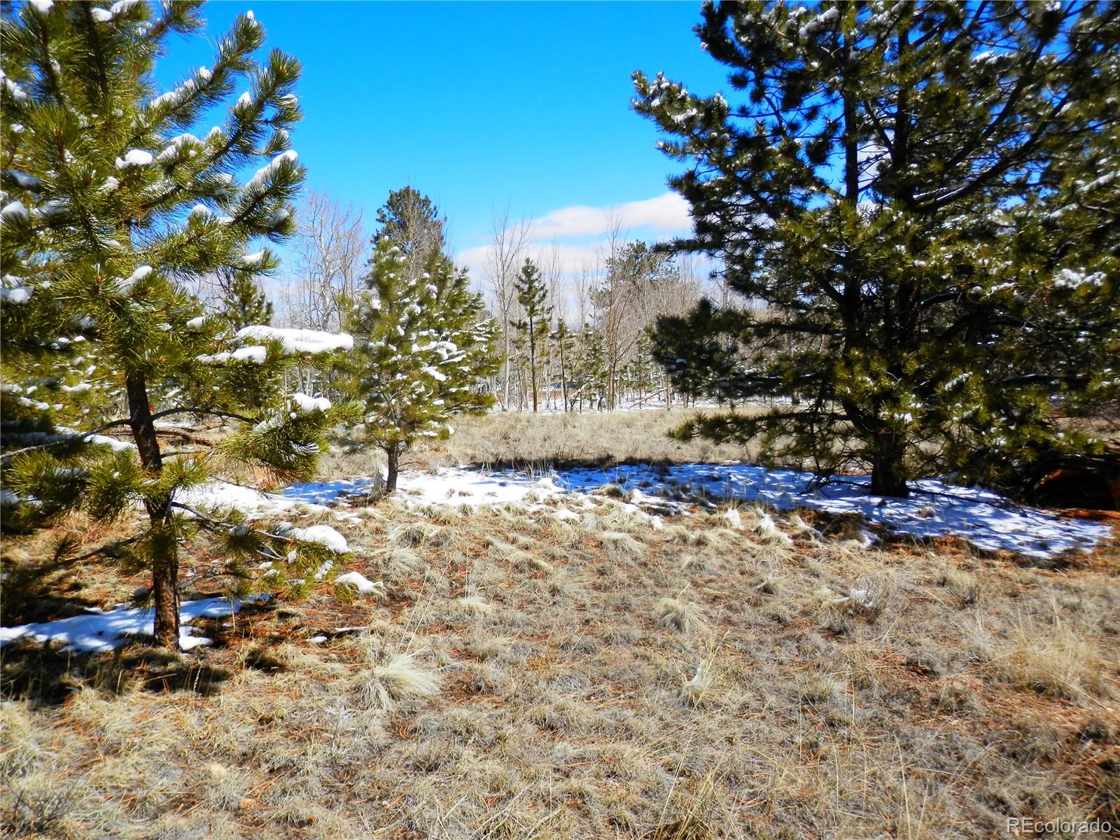 10464 Ranch Road Hartsel, CO 80449 - Photo 23 of 39
