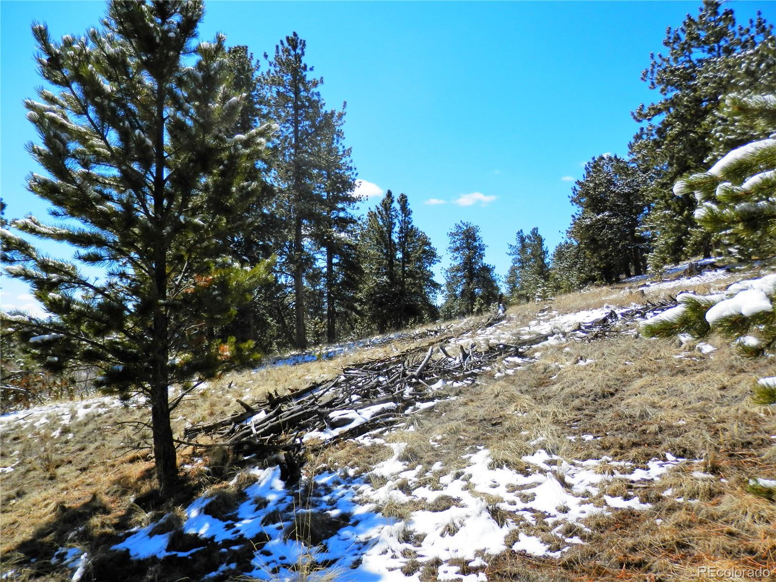 10464 Ranch Road Hartsel, CO 80449 - Photo 24 of 39