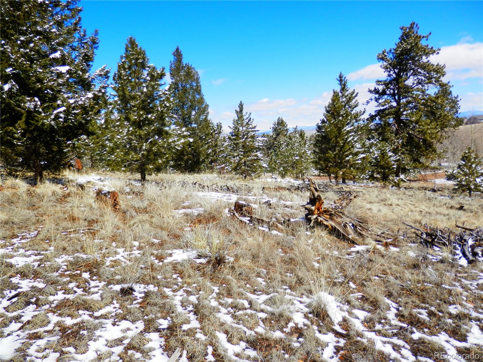 10464 Ranch Road Hartsel, CO 80449 - Photo 27 of 39