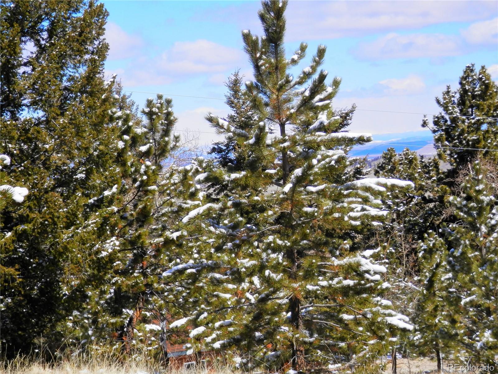 10464 Ranch Road Hartsel, CO 80449 - Photo 29 of 39