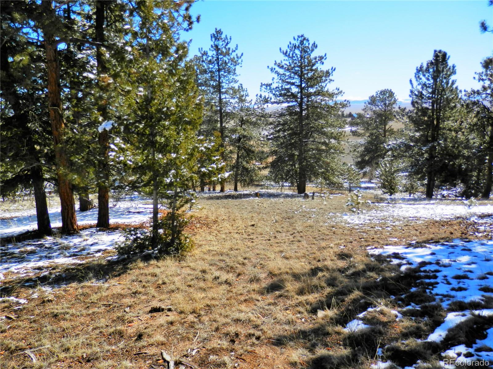 10464 Ranch Road Hartsel, CO 80449 - Photo 3 of 39