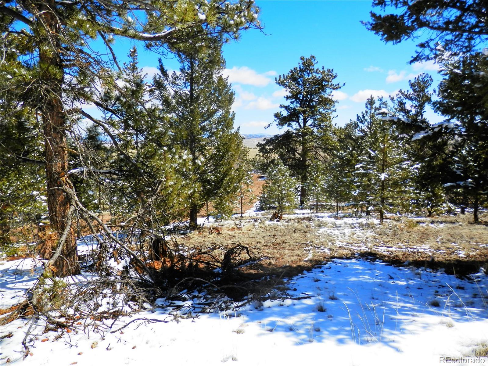 10464 Ranch Road Hartsel, CO 80449 - Photo 31 of 39